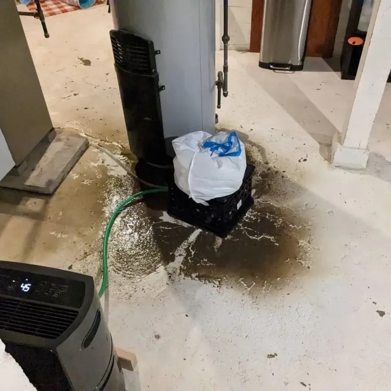 Sewage Backup Cleanup Service in Rosedale, MS